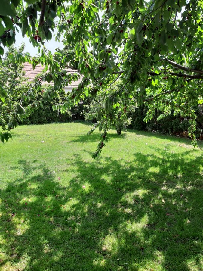 Eisenstadt Apartments Bagian luar foto
